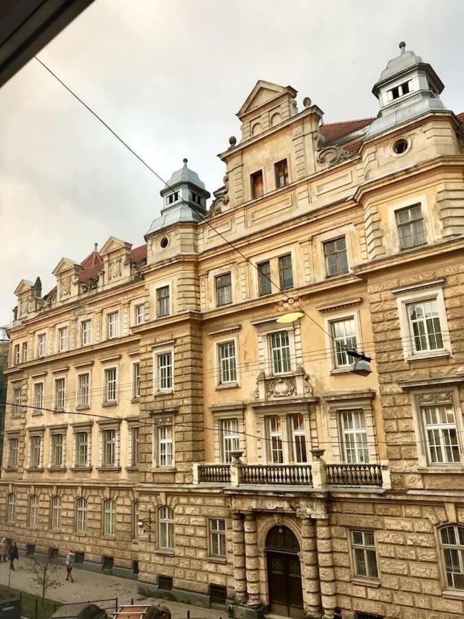 New Appartment-Studio Іn The Center Of Lviv Exteriör bild